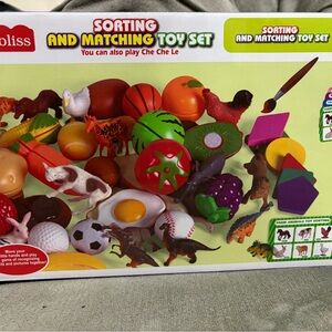 Sorting and Matching Toy Set - Colorful Learning Adventure